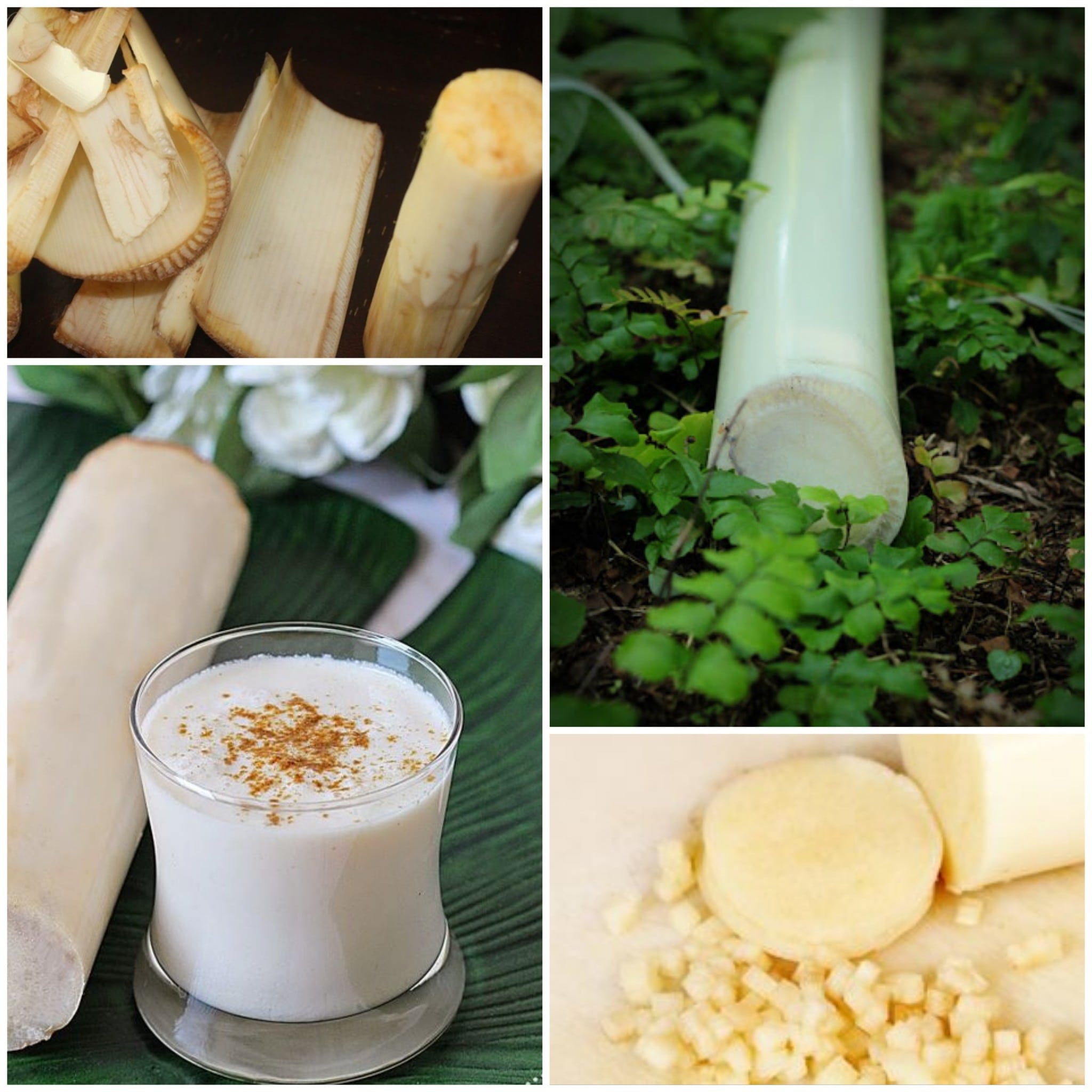 banana stem