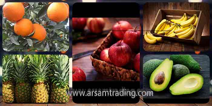 which country export the most fruits