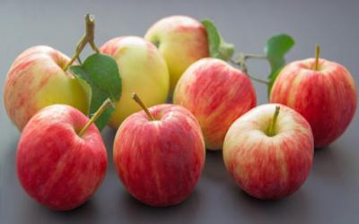 صادرات سیب گلاب
